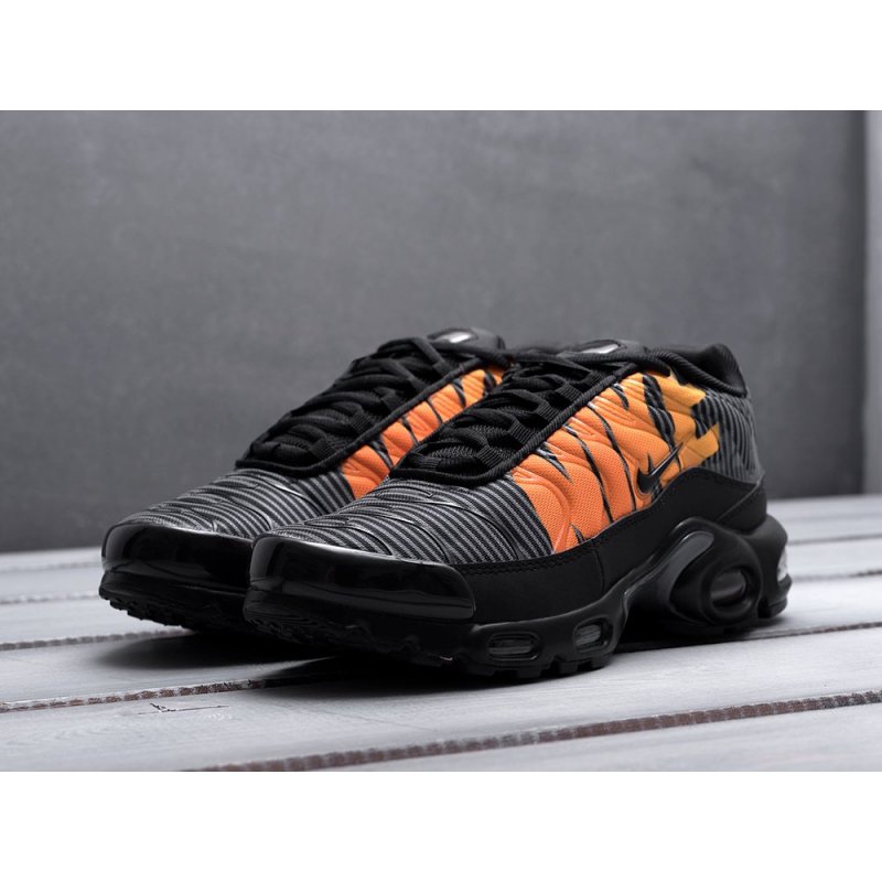 Кроссовки Nike Air Max Plus TN SE