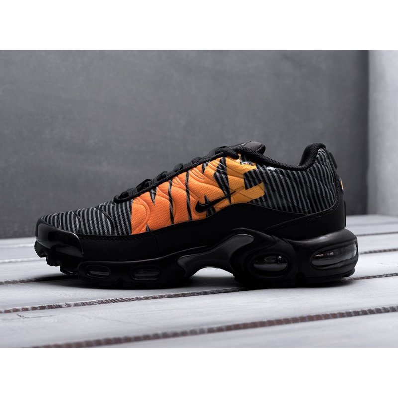 Кроссовки Nike Air Max Plus TN SE