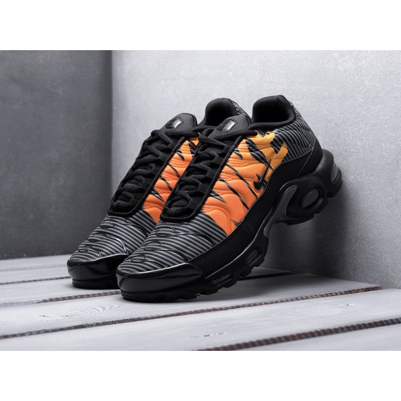 Кроссовки Nike Air Max Plus TN SE