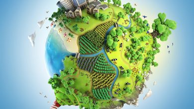 Photo of Инвестиции в зеленые технологии
